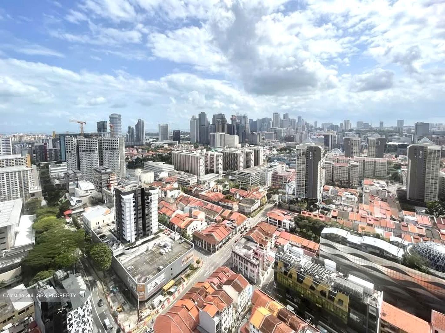City Square Residences (D8), Condominium #603633921